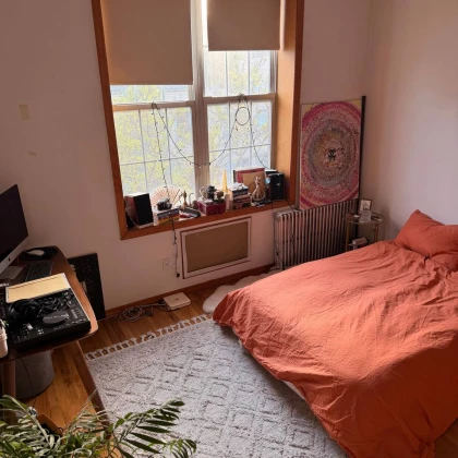 private-room-available-in-greenpoint-photo