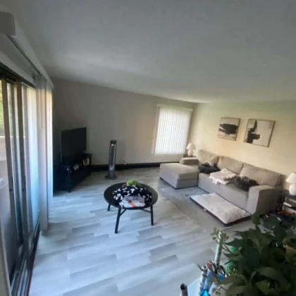 arenda-apartamentov-v-vernon-hills-photo