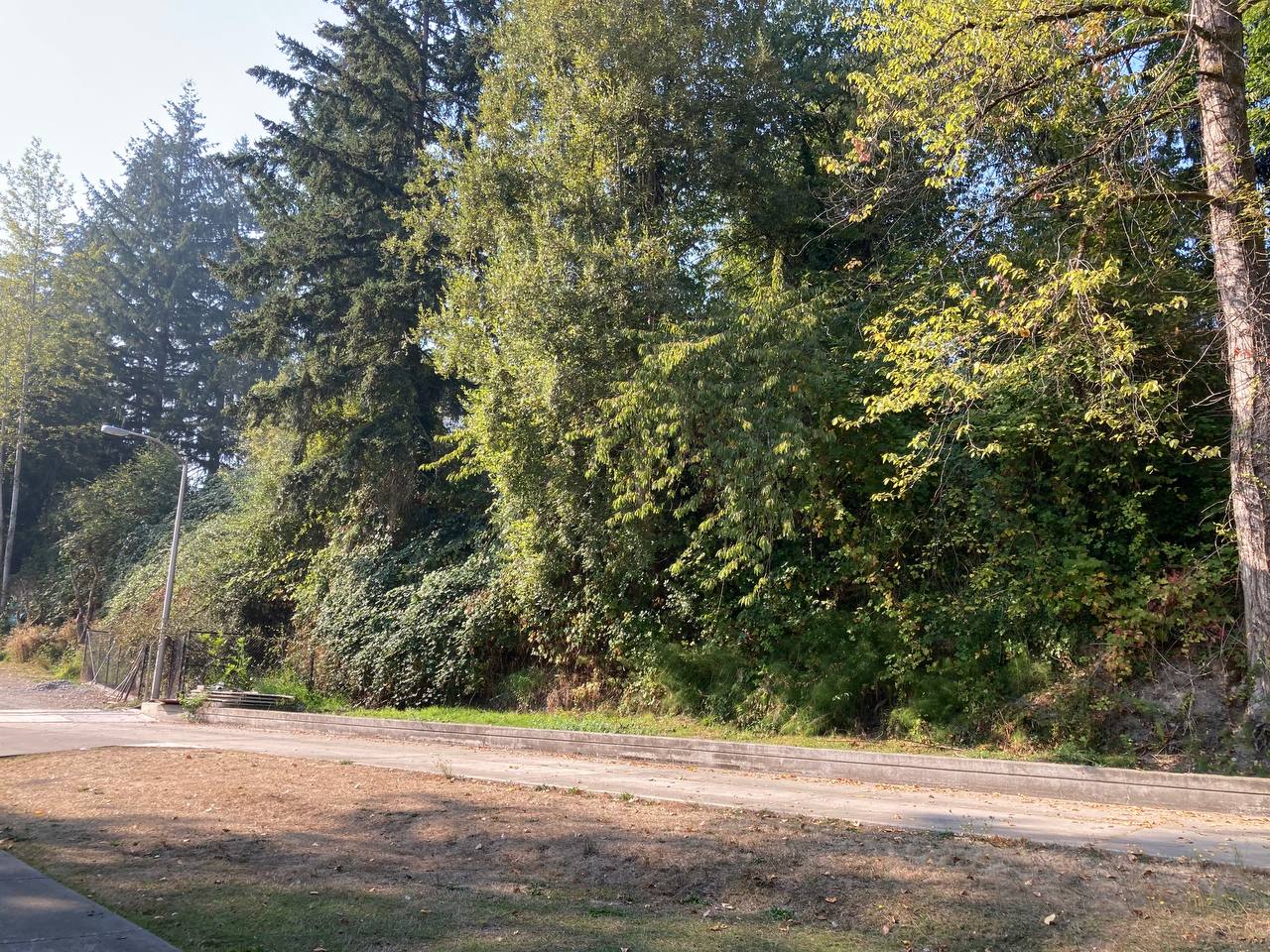 Сдается дом в Lakewood - Фото 2