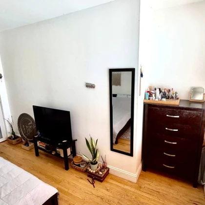 ishtu-devushku-v-otdelynuyu-komnatu-v-2-bedrum-apartamentah-photo