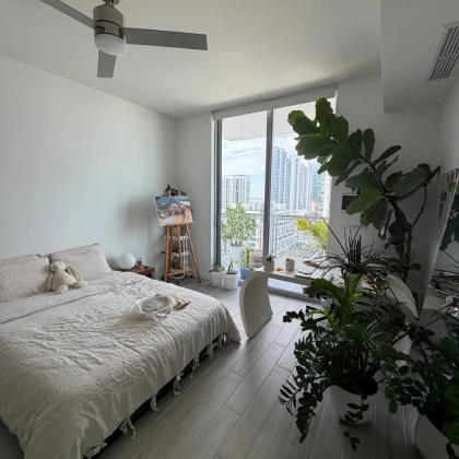 sdaetsya-komnata-v-edgewater-miami-photo