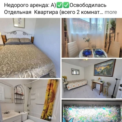 studiya-vse-scheta-internet-vk-photo