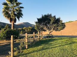 Perfect peaceful getaway on a working cattle ranch in Central California - Фото 2