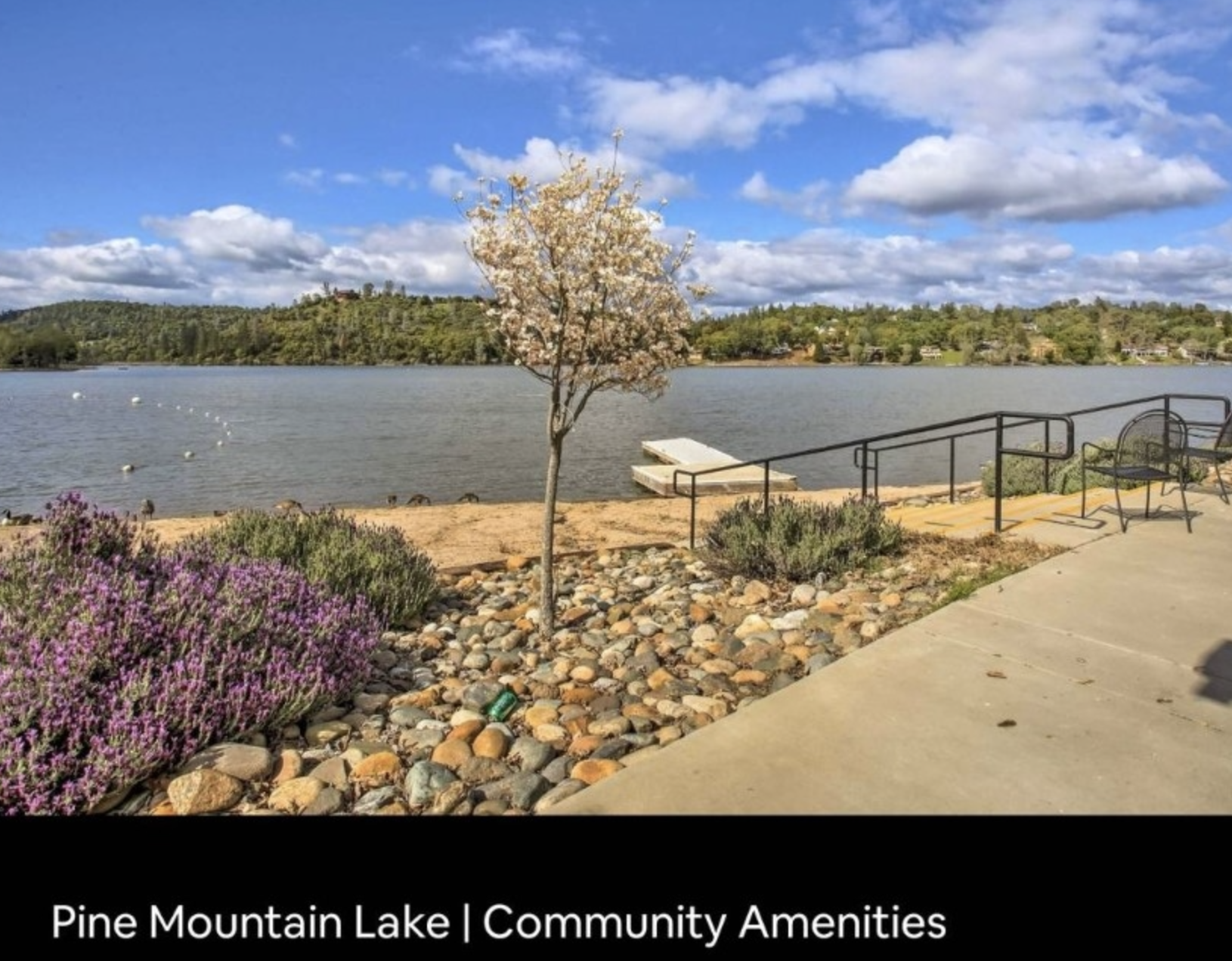 Pine Mountain Lake (Groveland) Vacation Property for Rent - Yosemite, CA - Фото 7