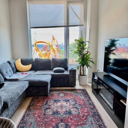 i-will-rent-my-apartment-in-the-coney-island-photo