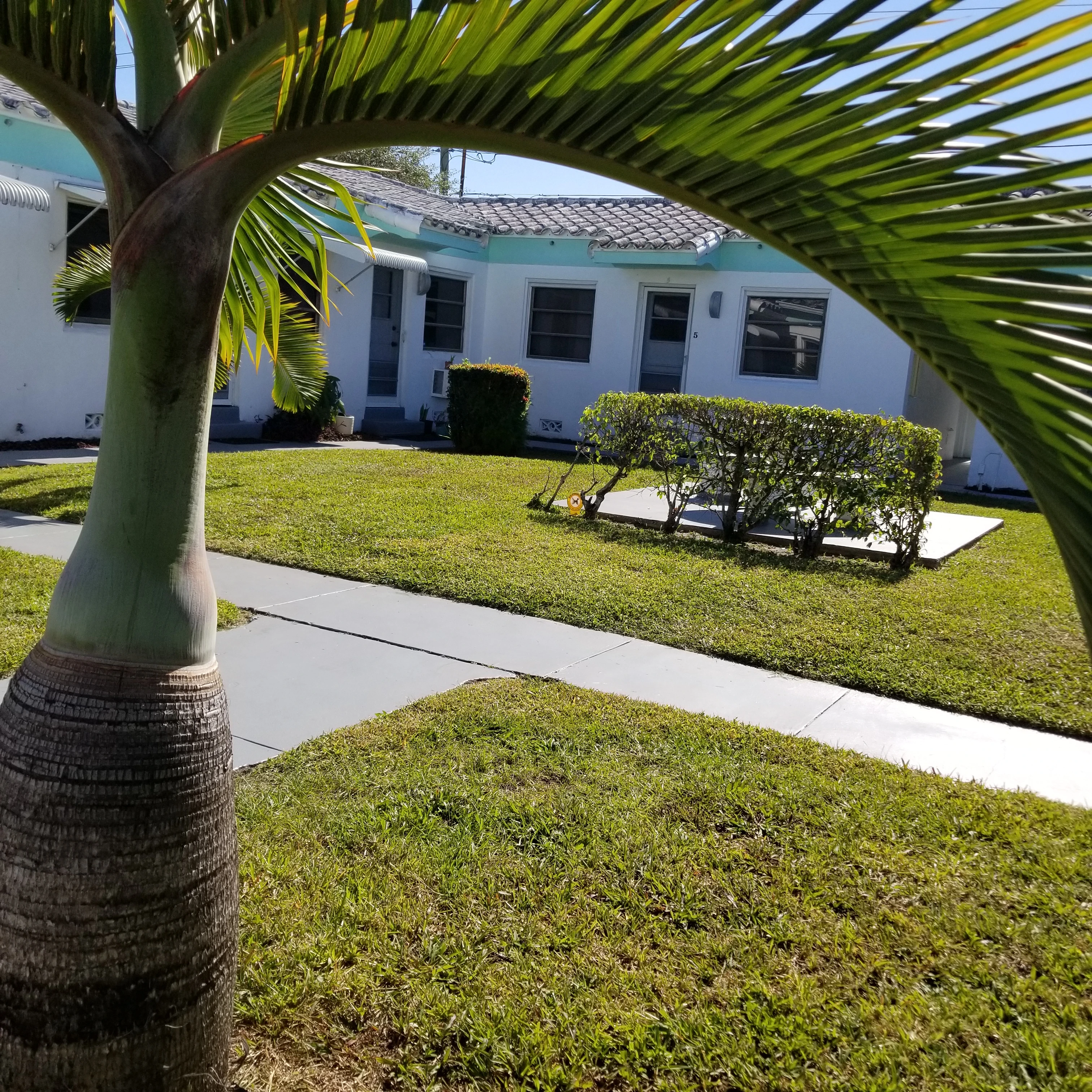 Spacious 1 bedroom 1 bath apart in well-kept vintage property - excellent central location 2 blocks from Young Circle!