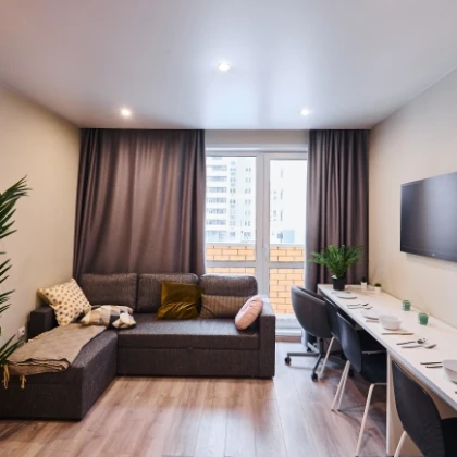 ill-give-you-an-apartment-photo
