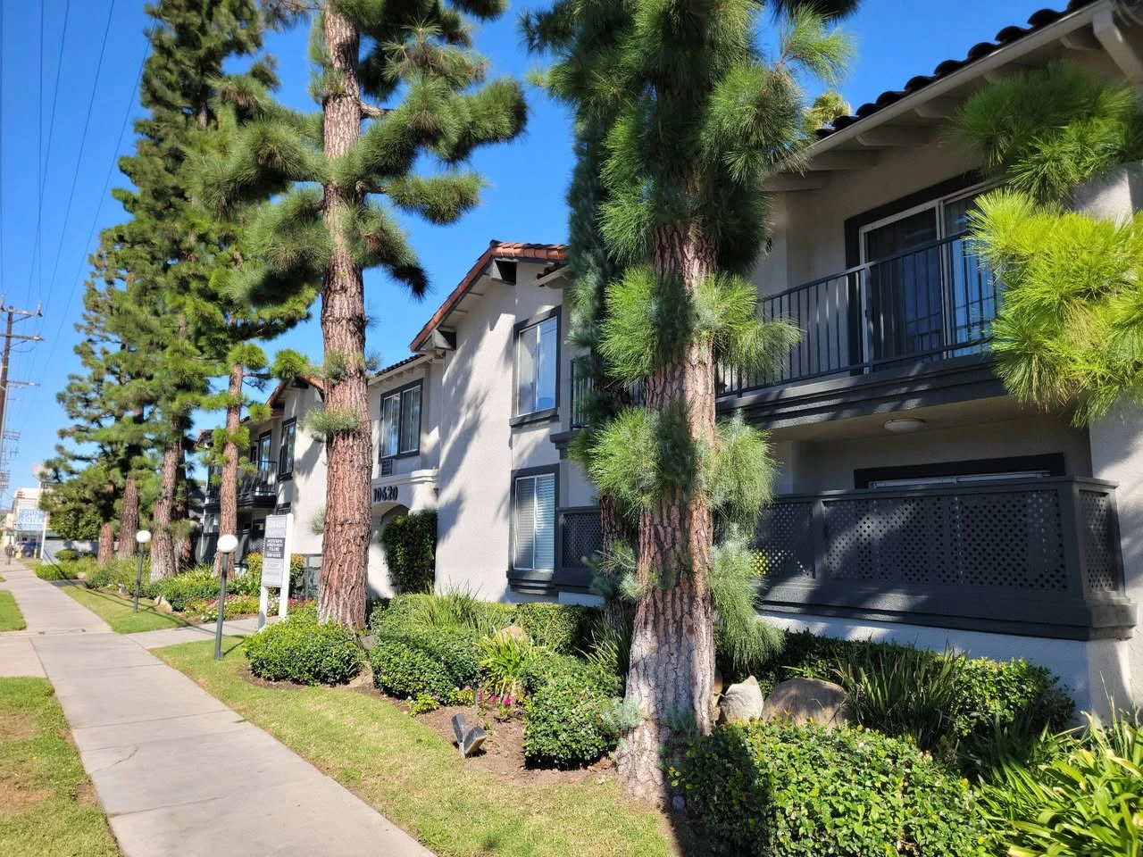 Room for rent in a shared 1BR