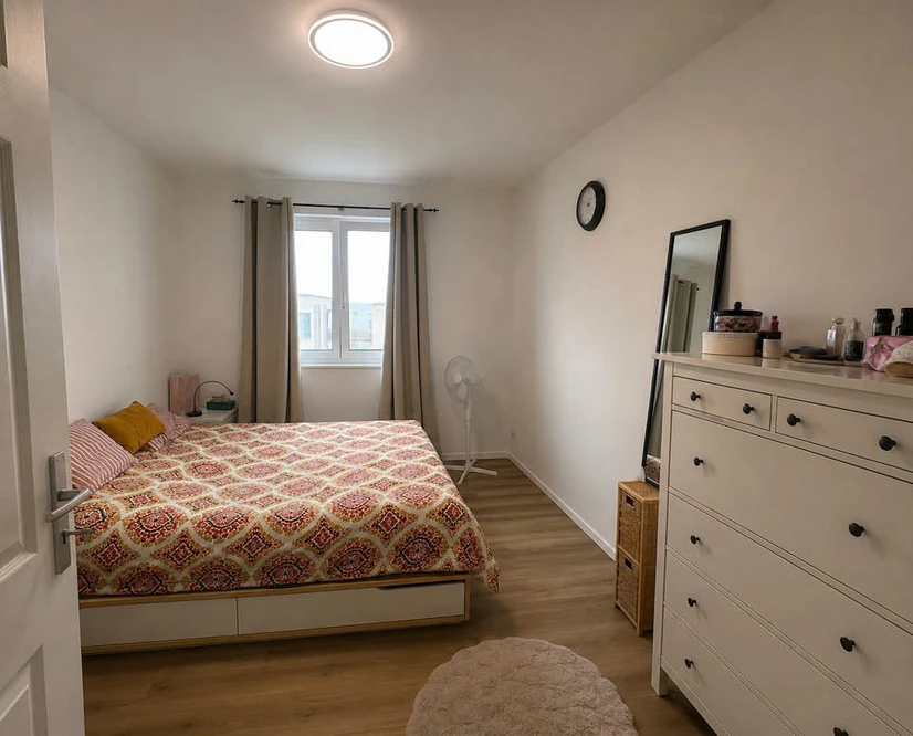 1bed 1bath apartment in Chicago