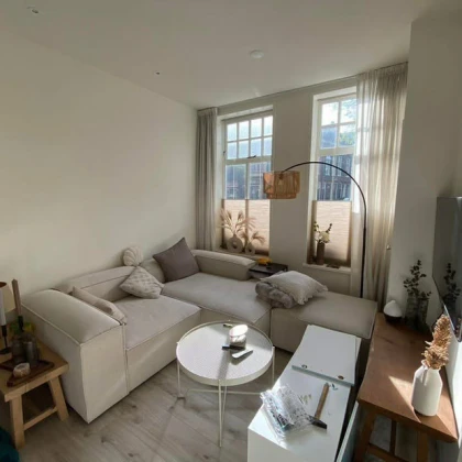 1-bed-1-bath-apartment-new-yor-photo