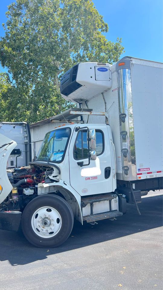 Reefer boxtrack Freightliner M2 - Фото 7