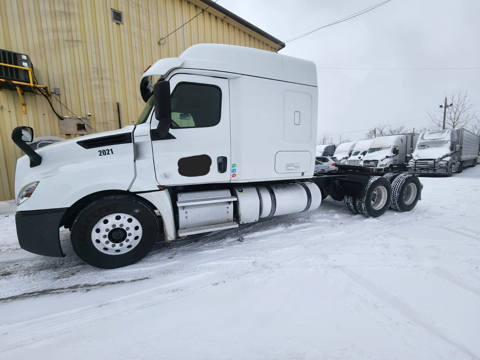 FREIGHTLINER CASCADIA 2019