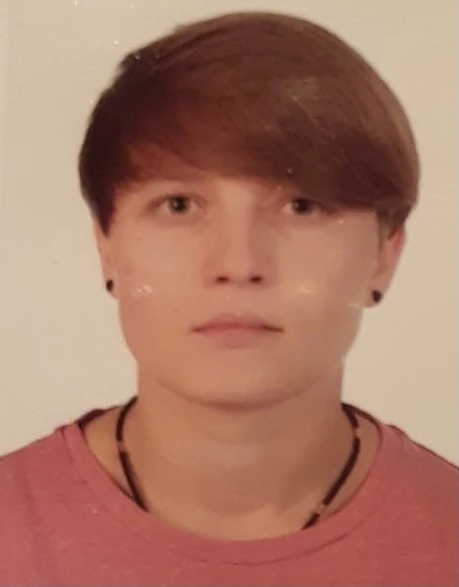 Деталізатор